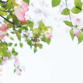 tomoko-uji-v4bkVOl1sTI-unsplash 1